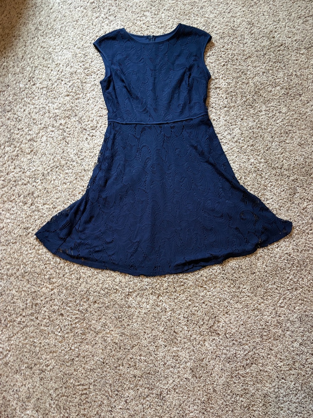 Wisp Sleeveless Navy Lace A-Line Mini Dress